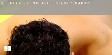 Escuela de masaje en  Extremadura