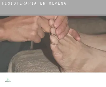 Fisioterapia en  Olvena
