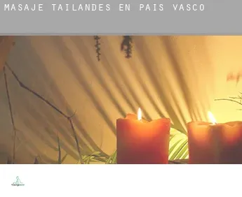 Masaje tailandés en  País Vasco