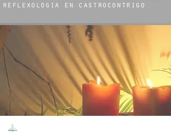 Reflexología en  Castrocontrigo