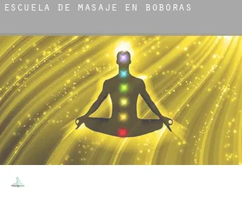 Escuela de masaje en  Boborás