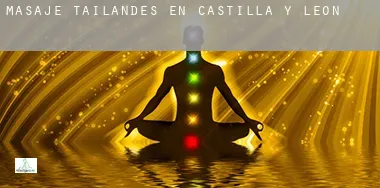Masaje tailandés en  Castilla y León