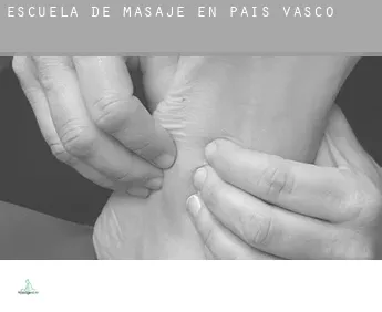 Escuela de masaje en  País Vasco