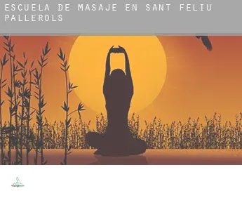 Escuela de masaje en  Sant Feliu de Pallerols
