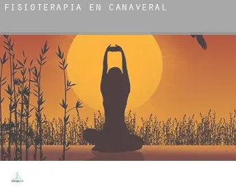 Fisioterapia en  Cañaveral