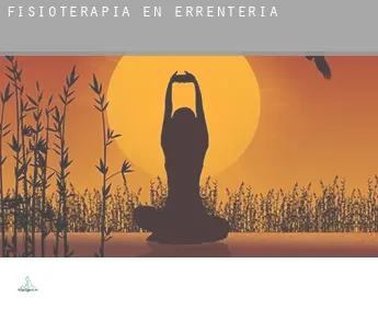 Fisioterapia en  Errenteria