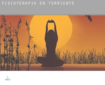 Fisioterapia en  Terriente