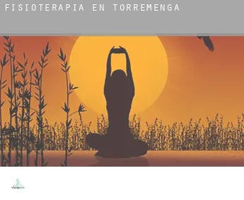 Fisioterapia en  Torremenga