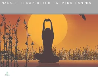 Masaje terapeútico en  Piña de Campos