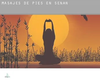 Masajes de pies en  Senan