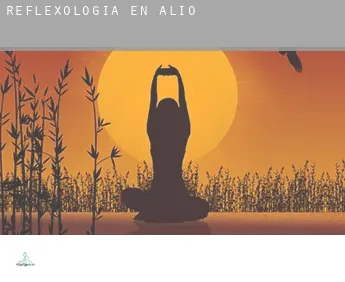 Reflexología en  Alió