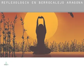 Reflexología en  Berrocalejo de Aragona