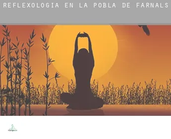 Reflexología en  la Pobla de Farnals