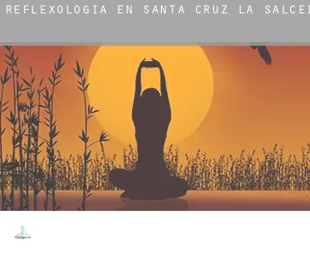 Reflexología en  Santa Cruz de la Salceda