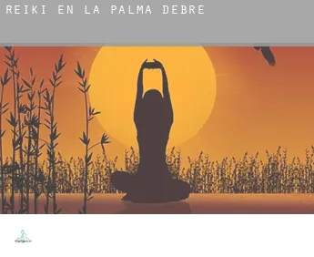 Reiki en  la Palma d'Ebre