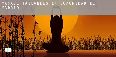 Masaje tailandés en  Comunidad de Madrid
