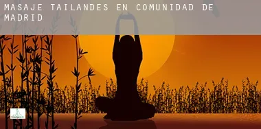 Masaje tailandés en Comunidad de Madrid