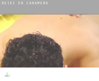 Reiki en  Cañamero