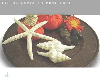 Fisioterapia en  Montferri