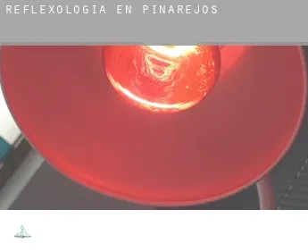 Reflexología en  Pinarejos