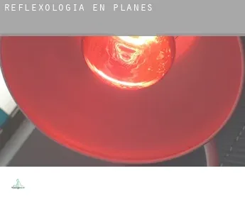 Reflexología en  Planes