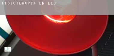 Fisioterapia en León