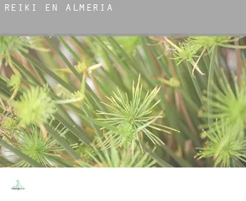 Reiki en  Almería