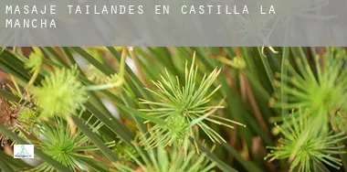 Masaje tailandés en Castilla-La Mancha