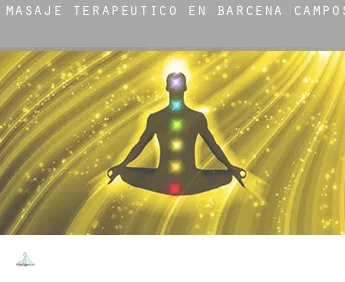 Masaje terapeútico en  Bárcena de Campos