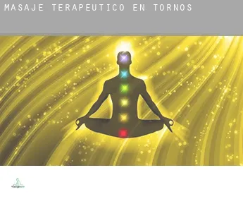 Masaje terapeútico en  Tornos