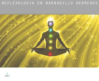 Reflexología en Barbadillo de Herreros
