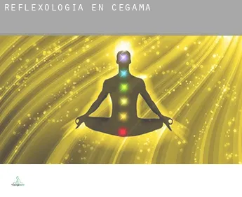 Reflexología en  Zegama