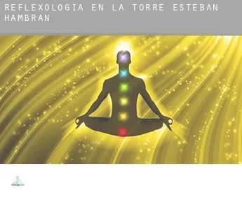 Reflexología en  La Torre de Esteban Hambrán