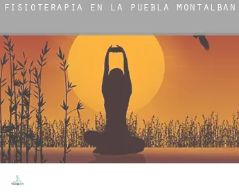 Fisioterapia en  La Puebla de Montalbán
