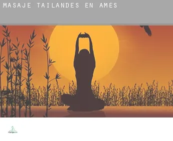 Masaje tailandés en  Amés