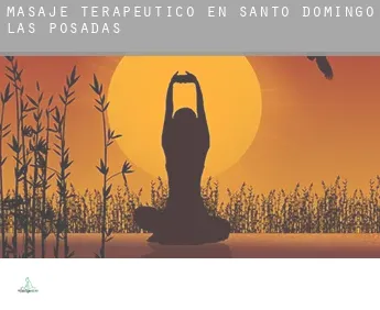 Masaje terapeútico en  Santo Domingo de las Posadas