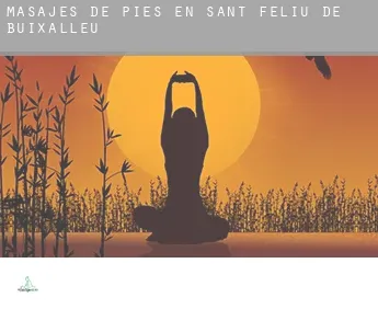 Masajes de pies en  Sant Feliu de Buixalleu