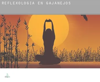 Reflexología en  Gajanejos