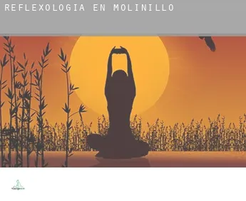 Reflexología en  Molinillo
