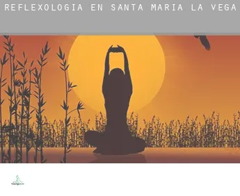 Reflexología en  Santa María de la Vega