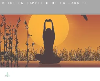 Reiki en Campillo de la Jara (El)