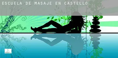 Escuela de masaje en  Castellón