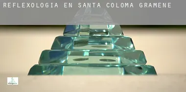 Reflexología en  Santa Coloma de Gramenet