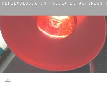 Reflexología en  Puebla de Alfindén (La)