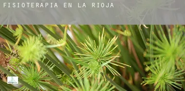 Fisioterapia en La Rioja
