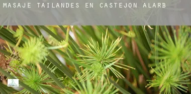 Masaje tailandés en Castejón de Alarba