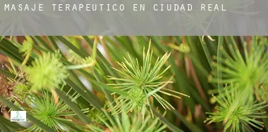 Masaje terapeútico en  Ciudad Real