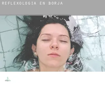 Reflexología en  Borja
