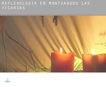 Reflexología en  Monteagudo de las Vicarías