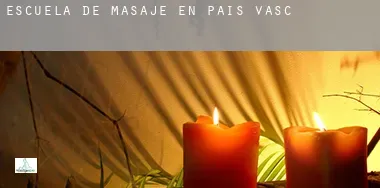 Escuela de masaje en  País Vasco